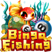 Câu Cá Bingo ak186 fishing